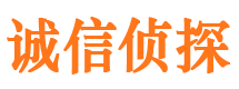 敦化市调查公司